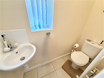 Picture 7